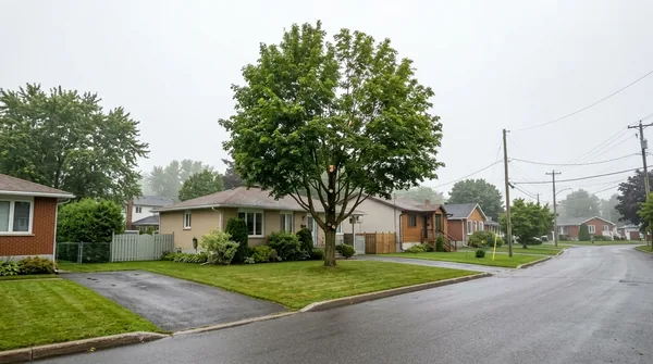 Entrepreneur Émondage Trois-Rivières à Trois-Rivières
