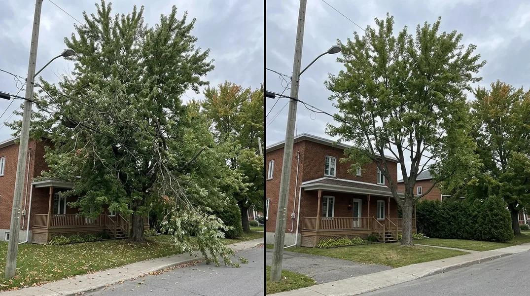 Résultat émondage à Trois-Rivières — Émondage Trois-Rivières