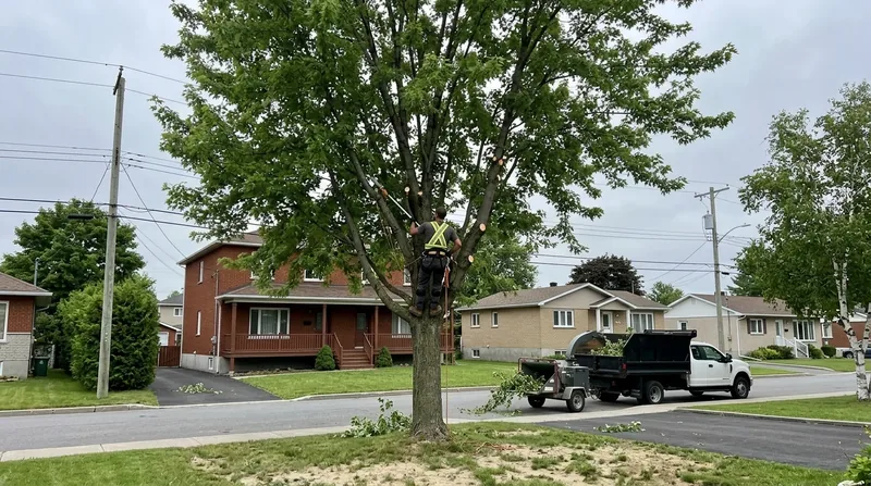 Corde de bois de chauffage Trois-Rivières